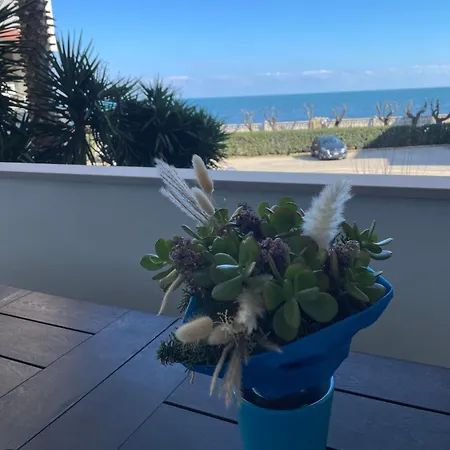 Stella Di Mare Blu *